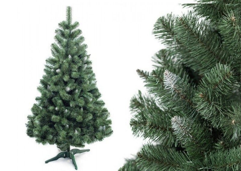 девушка из Гродненской области