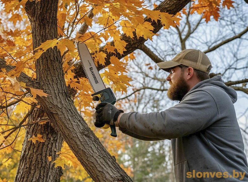 Жителя Слонима наказали