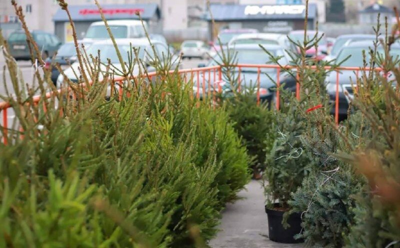 с 20 декабря