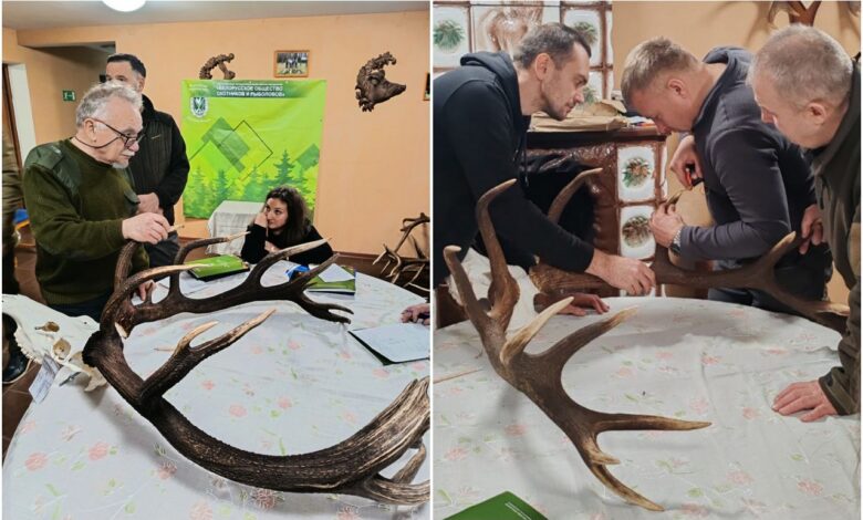 Рога и даже череп