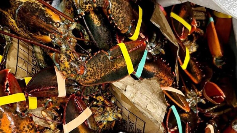 Самая необычная контрабанда