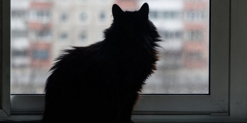 Суд вынес приговор пожилому