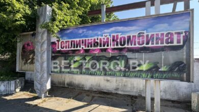 В Беларуси продают тепличный