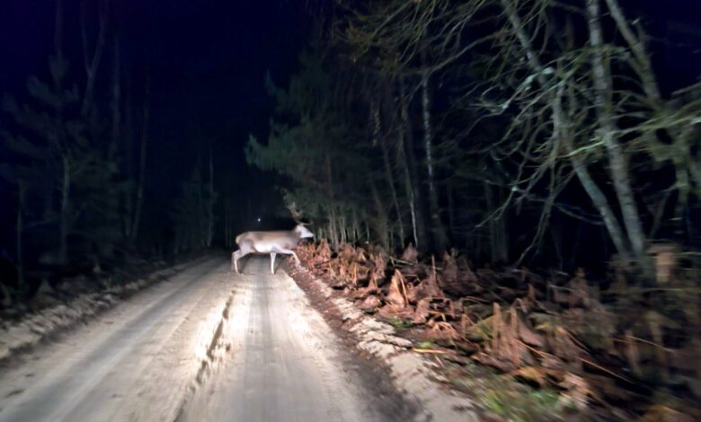 Водитель показал