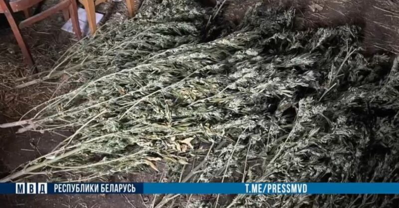 под Берестовицей