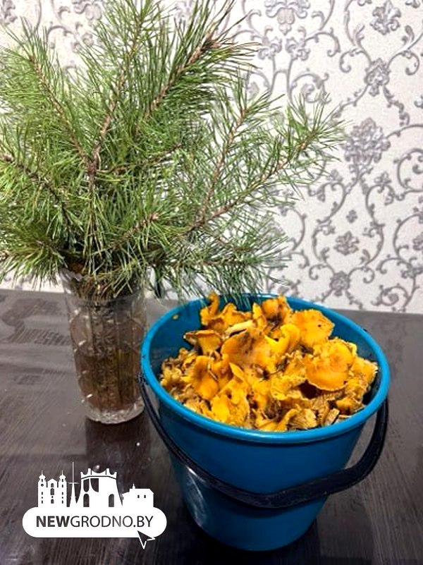 Гродненцы и зимой продолжают ходить