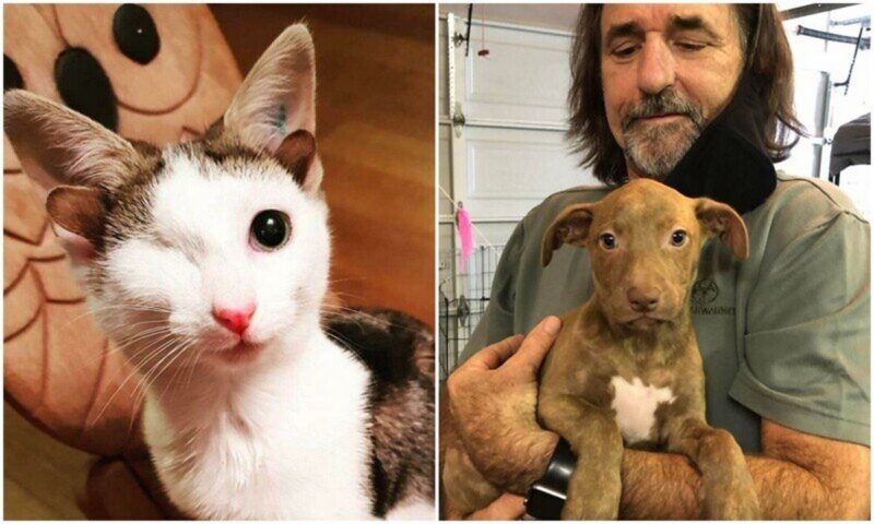35 трогательных фото животных