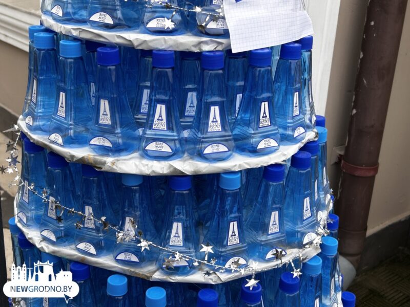 В Гродно заметили новогоднюю елку