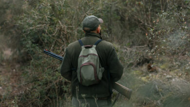 С 1 января изменятся