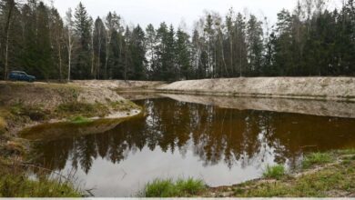 Что будет с озером в Рыбнице?