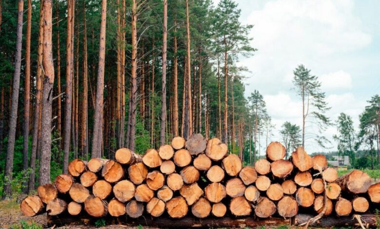 Дрова в Гродненской области