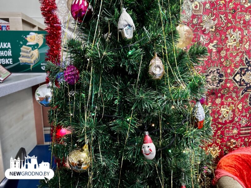 В Гродно создали новогоднюю фотозону