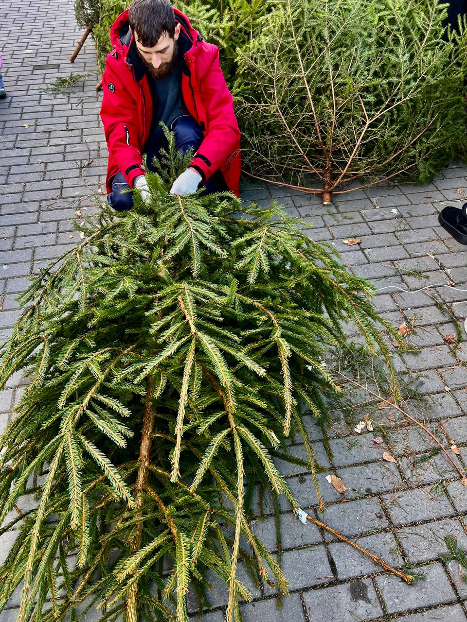 Гродненский лесхоз приглашает