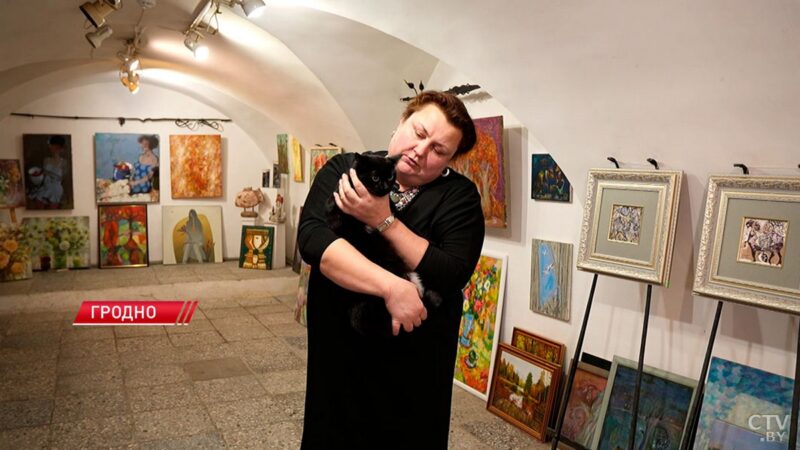 как музейные коты стали