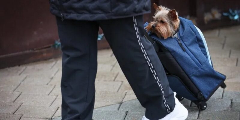 После вечеринки многодетная мать