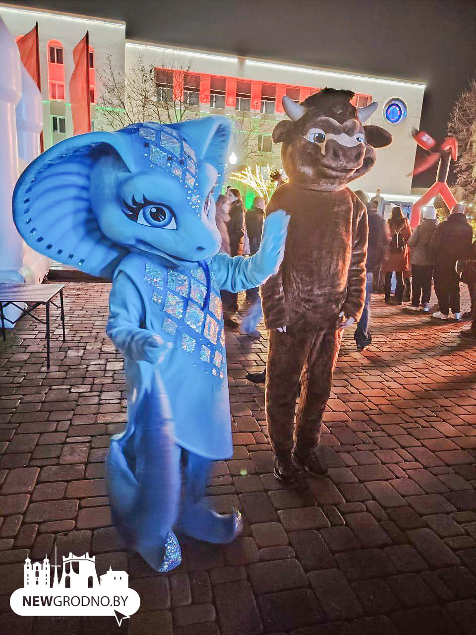 В Гродно зажглась главная ёлка области