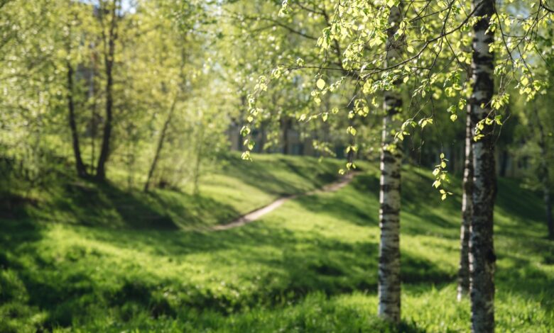 В Минске прекращают