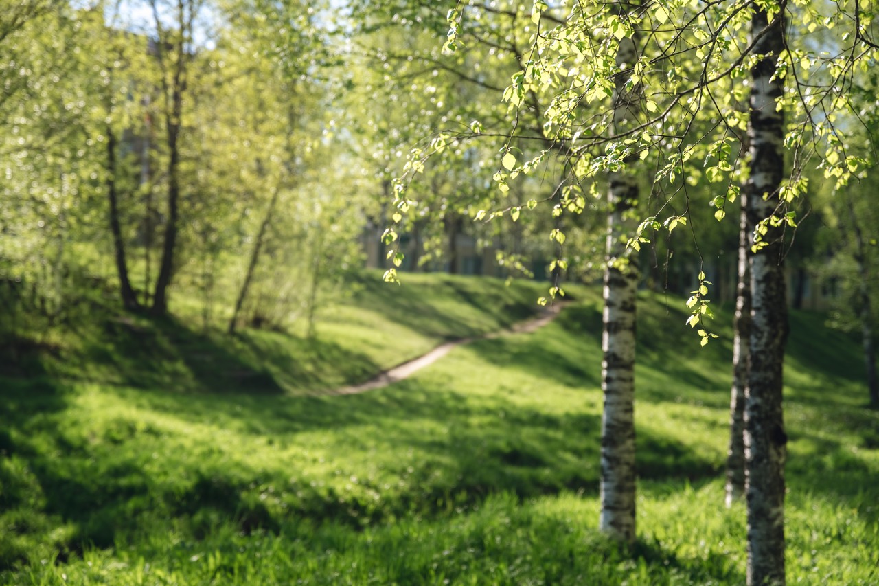 В Минске прекращают
