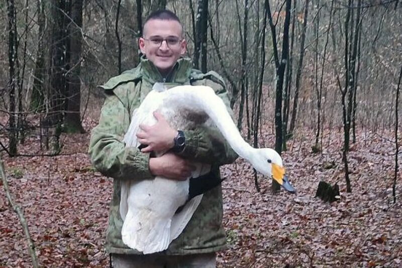 история спасения пернатого