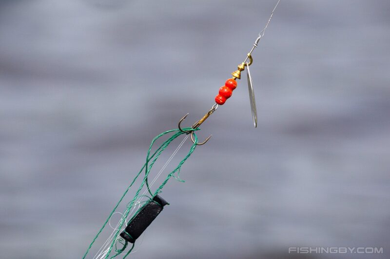 Белорусские рыболовы выступили против