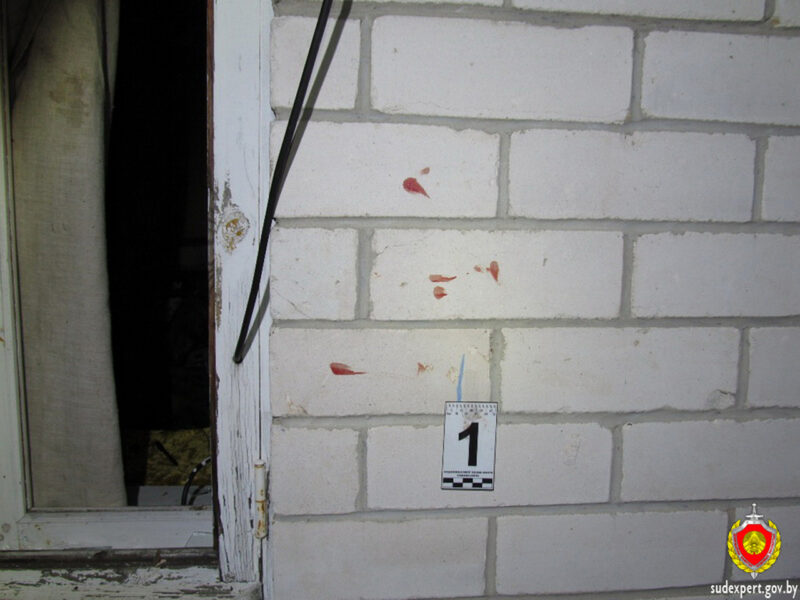 В Беларуси раскрыли кражу