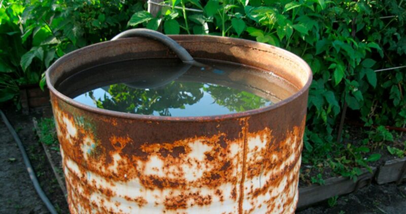 в Беларуси пенсионер погиб