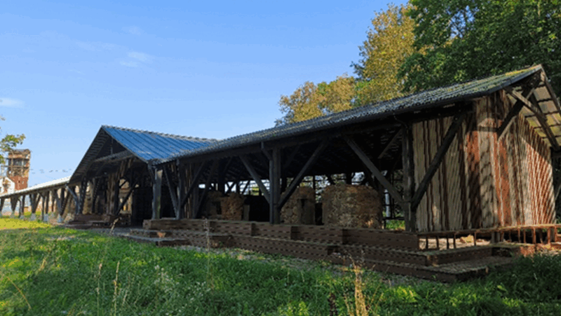 В Гродненской области с молотка продают