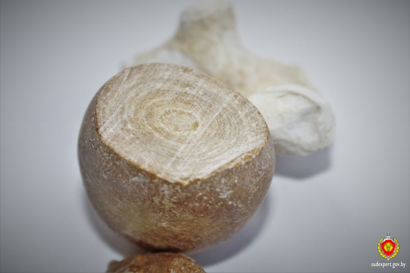 Гродненские химики