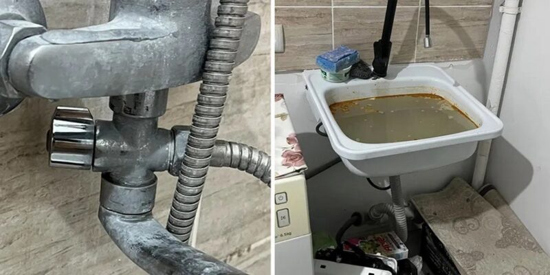 люди публикуют