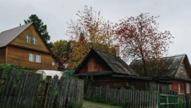 Под Гродно вор обнес четыре дачи