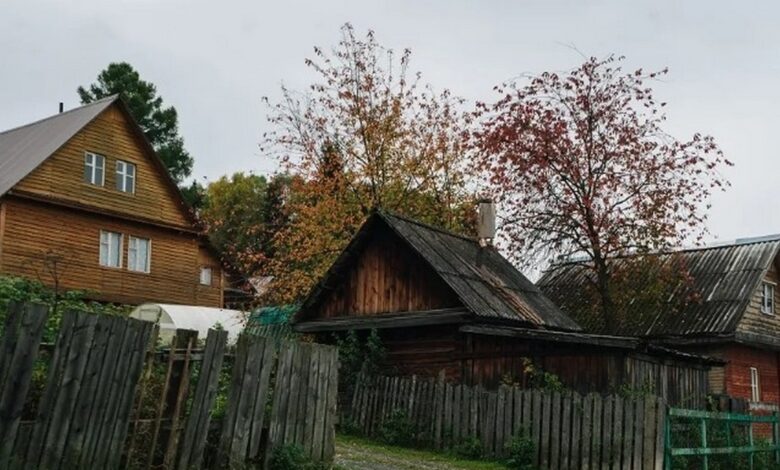Под Гродно вор обнес четыре дачи