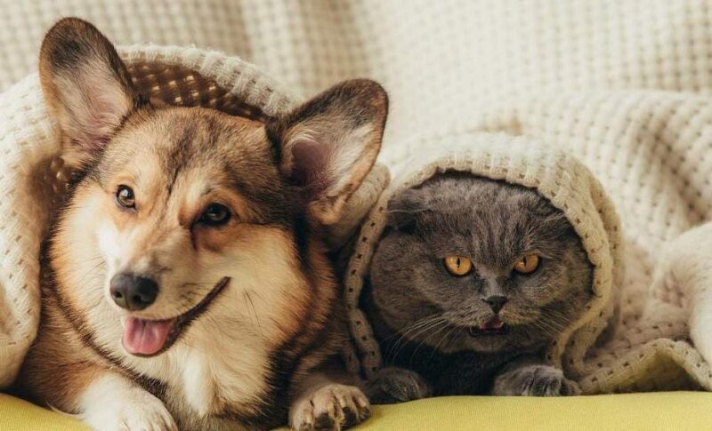 Обсуждение проекта