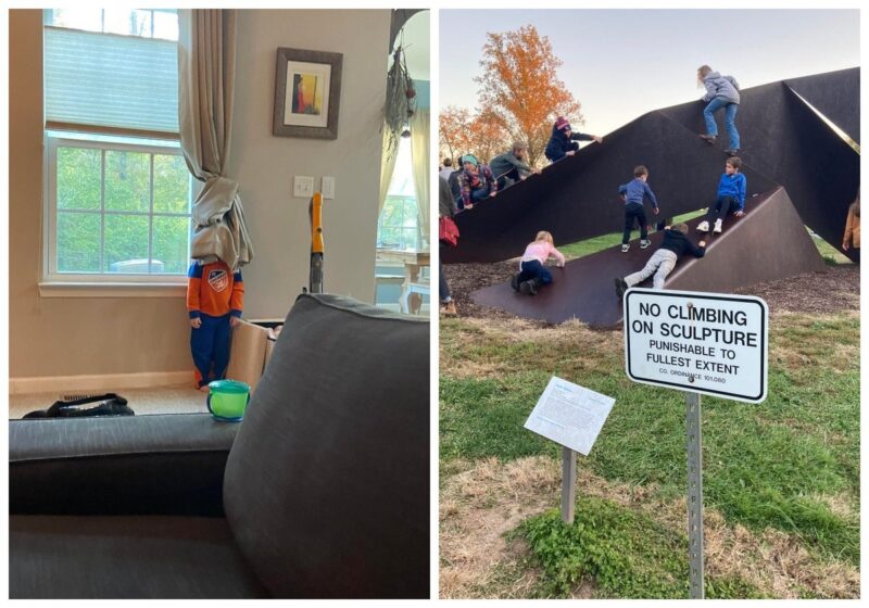 22 смешных фото