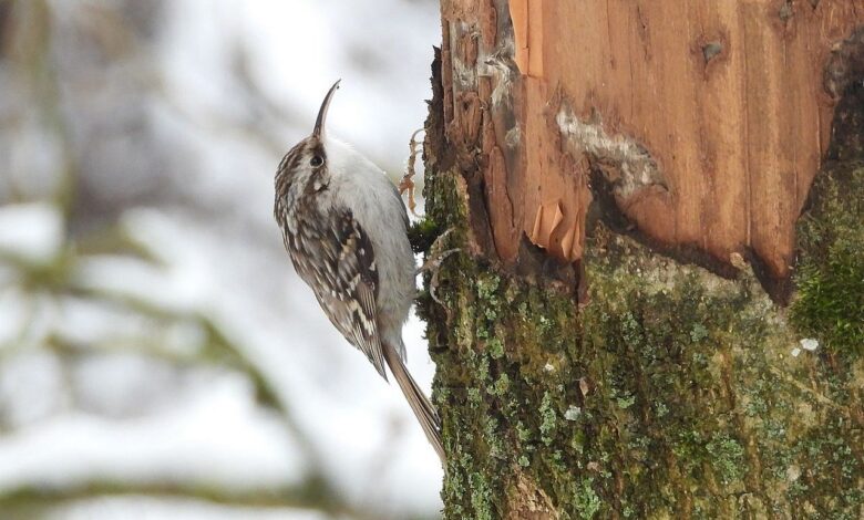 Беларусь пополнила список