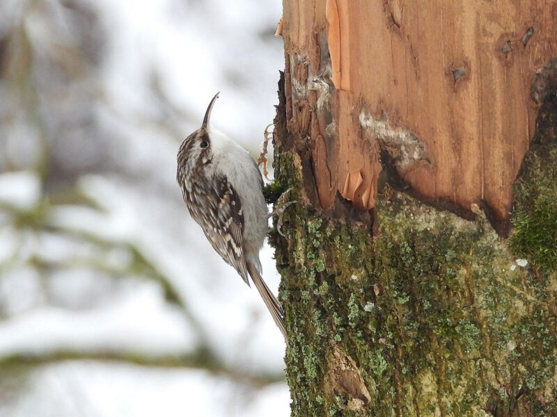 Беларусь пополнила список 