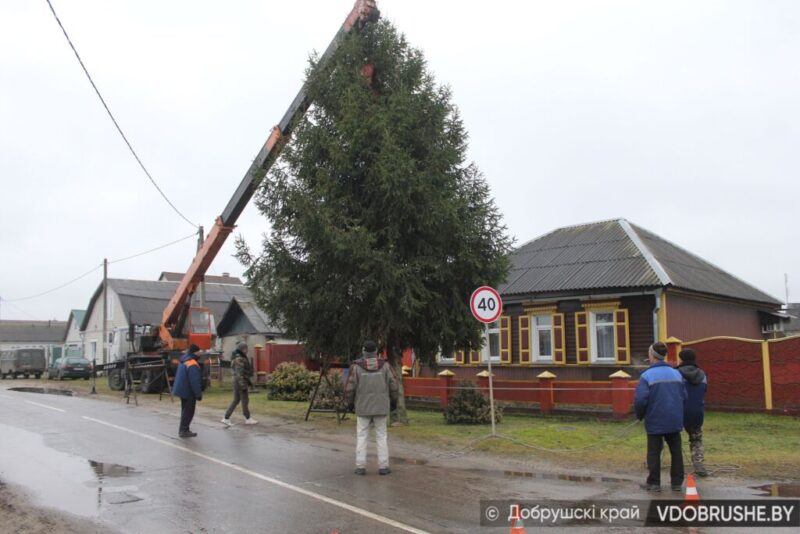 Ёлка для города