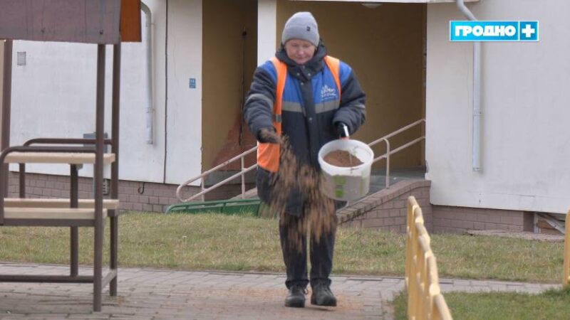 дороги в Гродно обработали