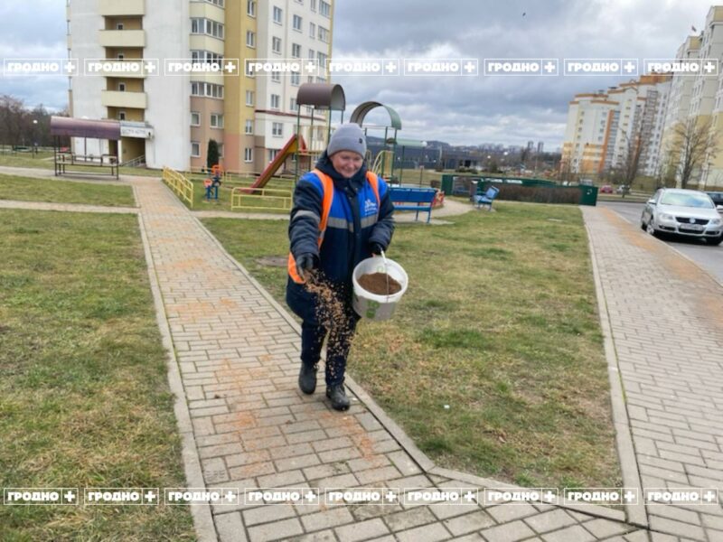 дороги в Гродно обработали