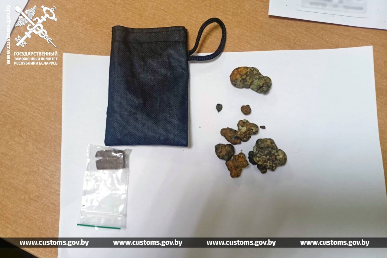 Жителя Гродно задержали на границе с грибами: это были совсем не боровики