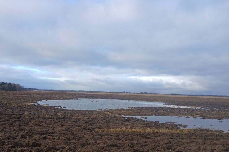 В Витебской области