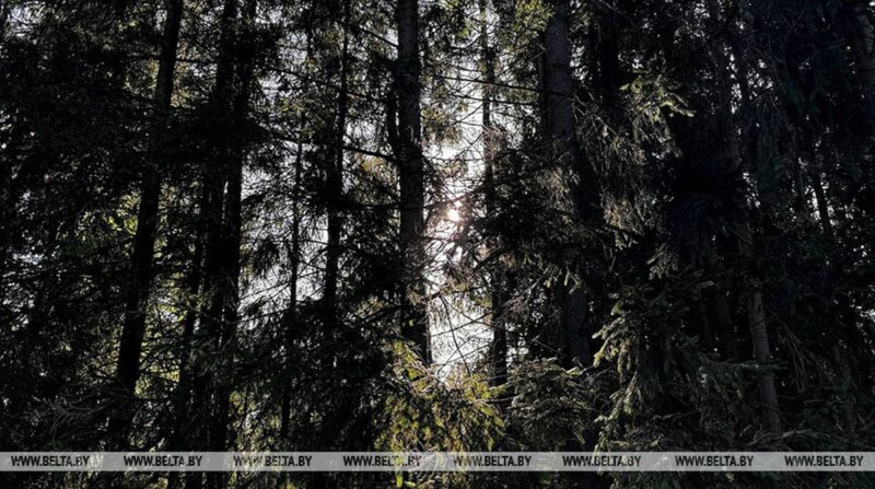 Прокуратура выявила нарушения