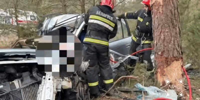 В Зельвенском районе