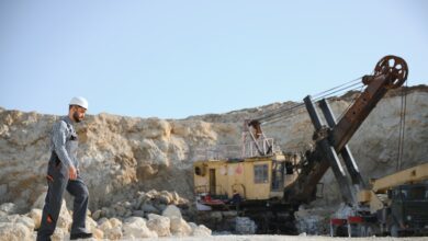 В Беларуси выделят огромные