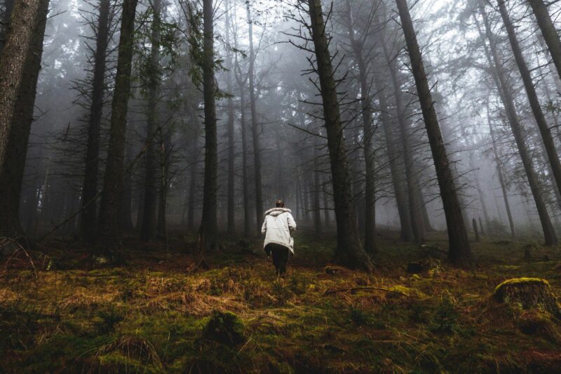 Под Витебском