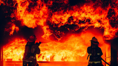 За сутки в Гродненской области