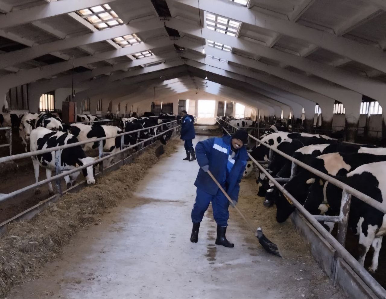 В Лидском районе мигранты из Эфиопии трудятся на фермах