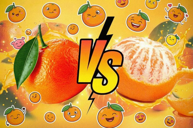 Новогодняя «битва» мандаринов