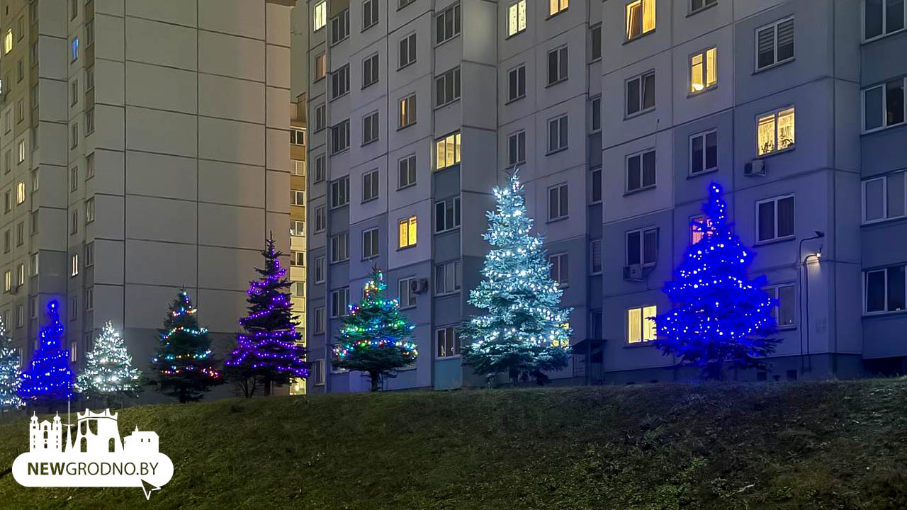 Как жители Гродно украсили свои дворы