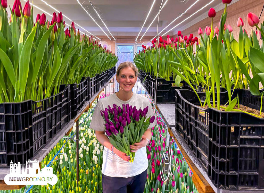 Чем нам запомнился 2025 год