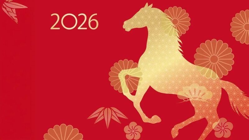 Какие цвета